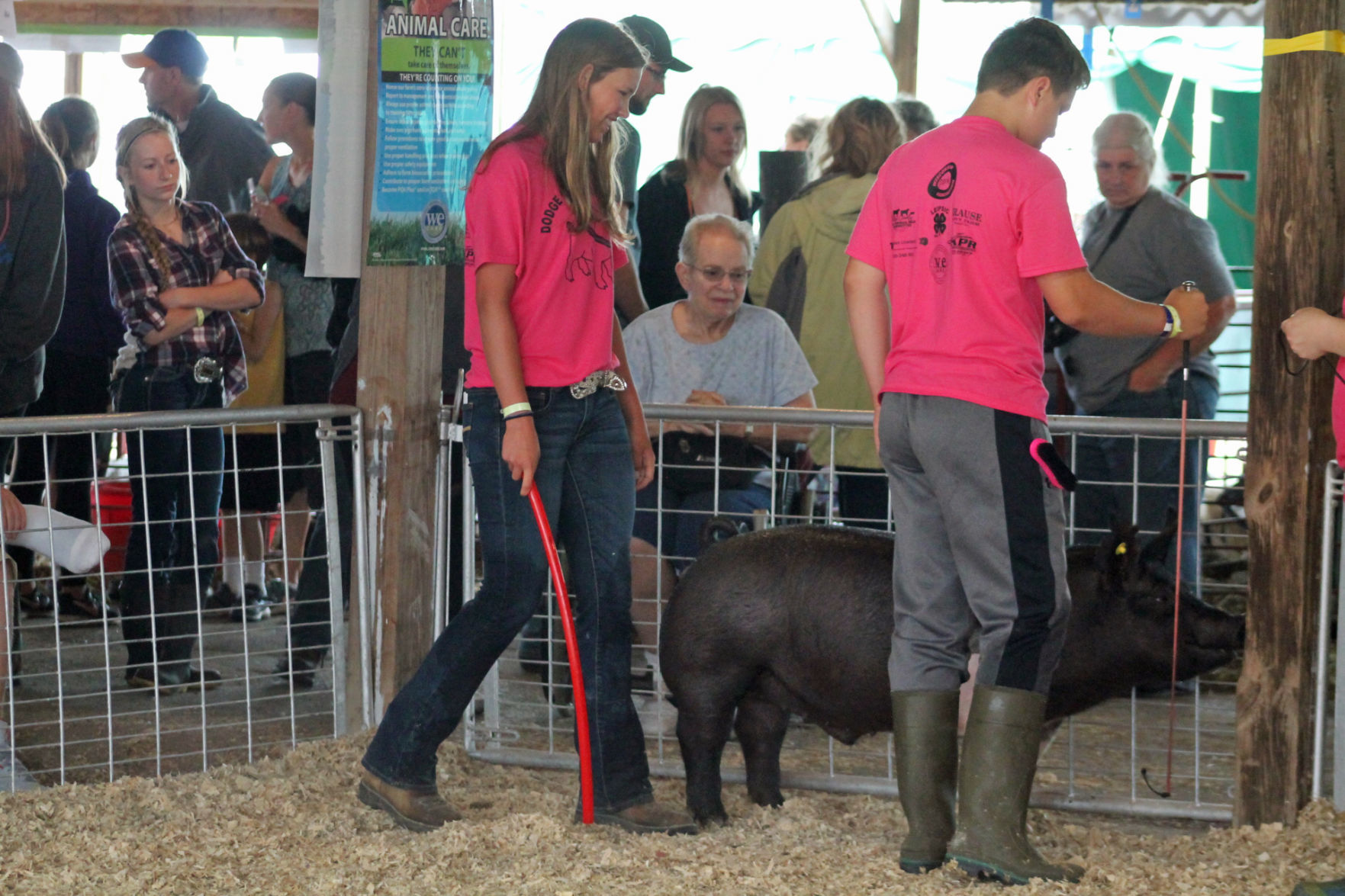 DC Fair Sunday 018.JPG
